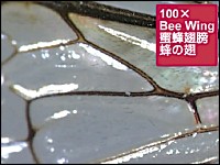 ;  